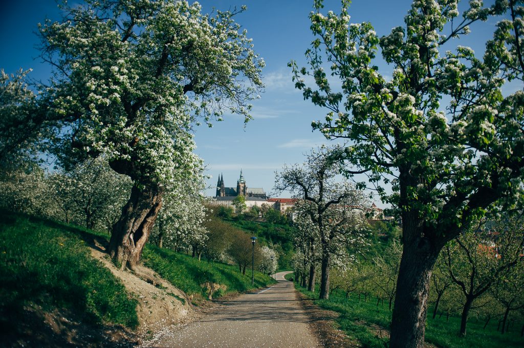 Prague-Spring-9-Panel-3545-1024x681
